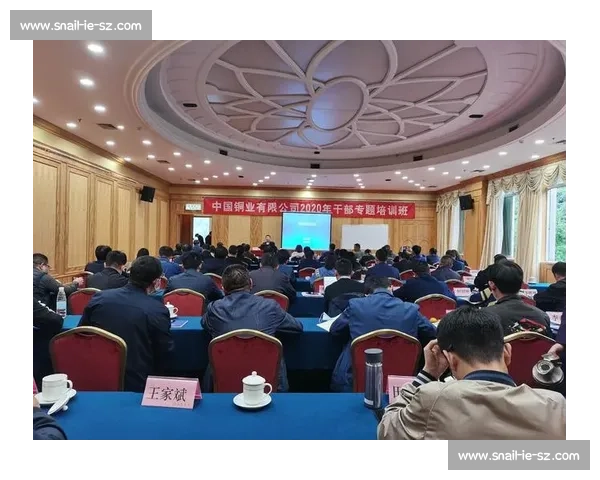现代体育组织运营中的科学管理与绩效提升研究 现代体育组织运营中的科学管理与绩效提升研究